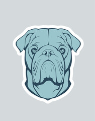 Mighty English Bulldog blue vector image. Vector clipart of an English Bulldog head in rich blue tones. This dynamic design on a light background will add expression and character to any project.