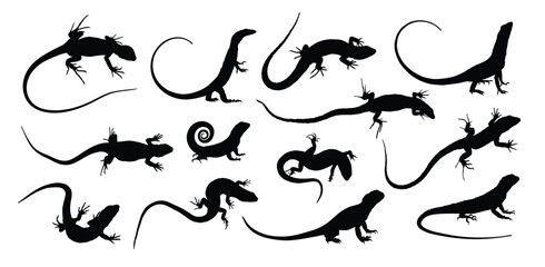 The set of silhouettes of big lizards.
