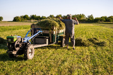 Obraz premium Senior farmer harvesting hay on a farm in sunny summer day with tractor