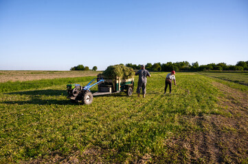 farmers collect hay from the field and load it into a mini tractor