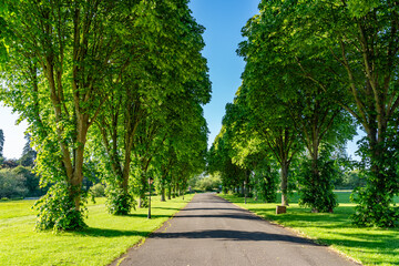 views around an old historic house and garden