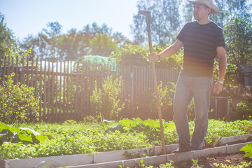 Farmer cultivating land in the garden with hand tools. Soil loosening. Gardening concept....