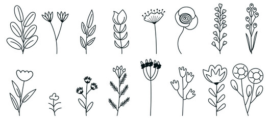 A set of various flowers, branches, leaves drawn by hand. Flora vector illustration in doodle