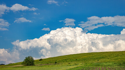 Summer fields and big cumulus cloud, mountainous area
