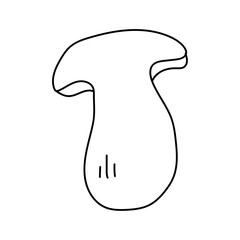 Porcini in doodle style. Vector isolated on white background