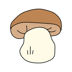 Porcini in doodle style. Vector isolated on white background