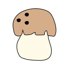 Porcini in doodle style. Vector isolated on white background