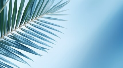 Obraz premium Blurred shadow from palm leaves on the light blue wall. Minimal abstract background for product presentation. Spring and summer.