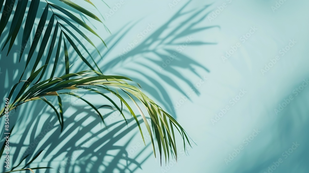 Poster blurred shadow from palm leaves on the light blue wall minimal abstract background for product prese