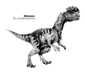 Fototapeta premium Dilophosaurus BandW 1.eps