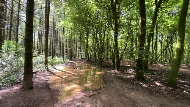 Naturpark in Frankreich Morvan bei Autun