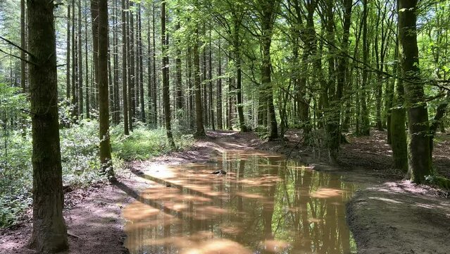 Naturpark in Frankreich Morvan bei Autun