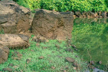 beautiful green grass and rocks in the morning