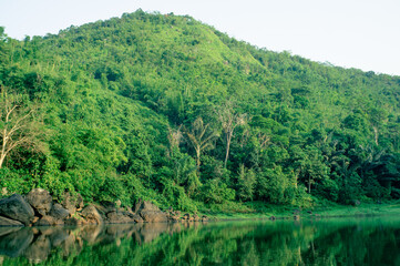 green lake with beautiful trees and grass