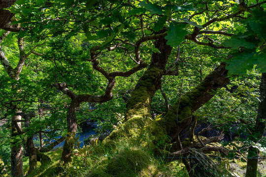 views around Capel Curig Snowdonia