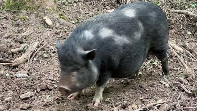 Autun im Naturpark Morvan in Frankreich