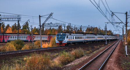 Autumn Train Journey