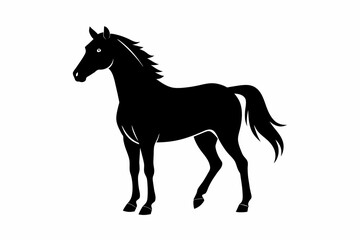 Black silhouette of a horse isolated on a white background. Concept of equine illustration minimalist style, majestic animal art, suitable for prints, icons, logos, and design elements