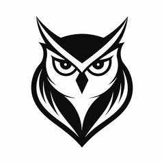 owl on white background