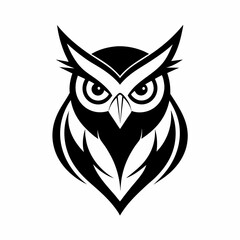 owl on white background