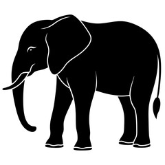 elephant illustration