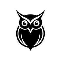 owl on white background