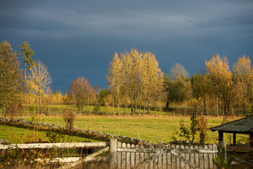 Evening mood with colorful trees, dark clouds and sunlight on a beautiful autumn day on a farm in Skaraborg Sweden