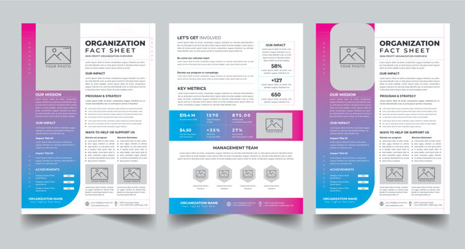 Nonprofit Organization Fact Sheet layout design template with 3 style design concept