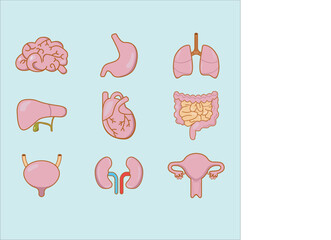 Human organ body icon pack