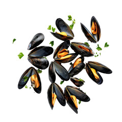 Top view of fresh and succulent cooked mussels garnished with chopped parsley, isolated on a white background and transparent background.