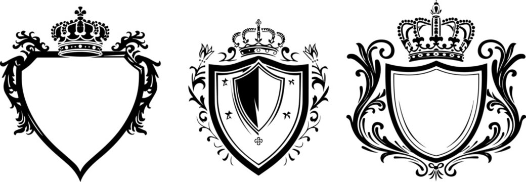set black and white shield with crown