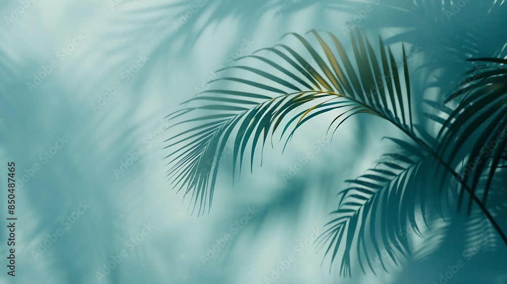 Poster blurred shadow from palm leaves on the light blue wall minimal abstract background for product prese