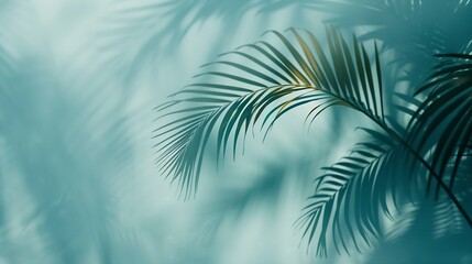 Obraz premium Blurred shadow from palm leaves on the light blue wall Minimal abstract background for product presentation Spring and summer : Generative AI