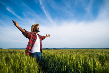 Young happy farmer with arms outstretched is standing  in his growing wheat field.