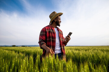 Young farmer using mobile phone while standing in his growing wheat field.