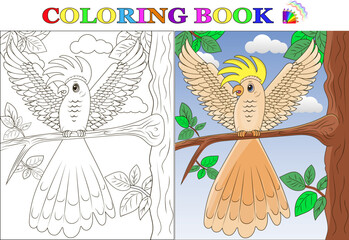 Coloring book for children on the theme: The cockatoo parrot sits on a branch. Vector illustration 10 eps. © Nataliia Vereda