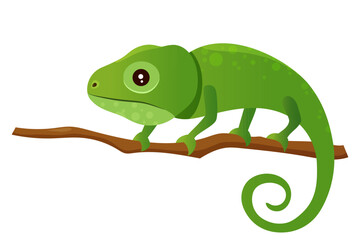 Vector illustration of vector cartoon green iguana on trees isolated on white background.
