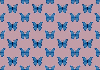 Butterfly. Pattern with butterflies. Blue butterfly. Nature. Summer season