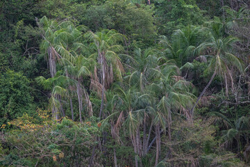 Rio Manhuacó, Paisagens da região de Tabauna no municipio de Aimorés, Minas Gerais, Brasil - 29 maio 2024.