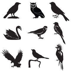vector silhouettes of different type of sitting birds
