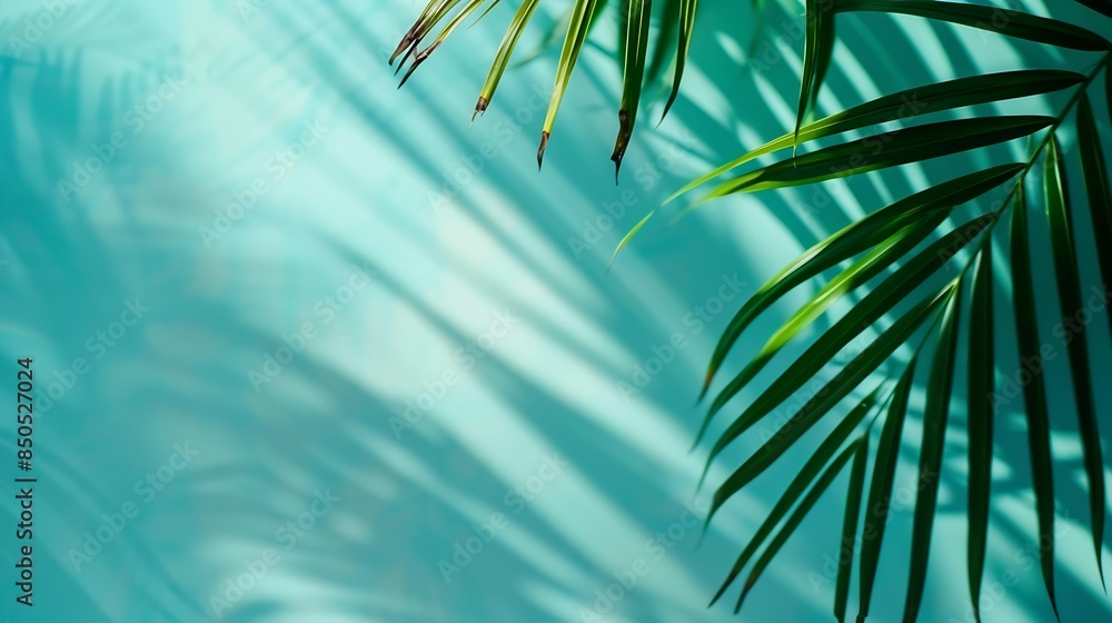 Poster blurred shadow from palm leaves on the light blue wall minimal abstract background for product prese