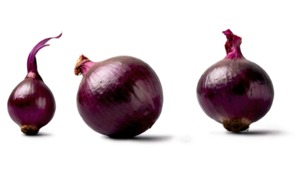 Red onion isolated on transparent background, PNG, Vector