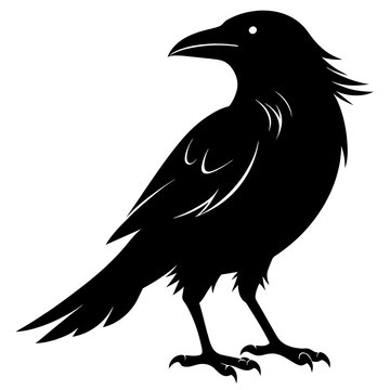 recommend clip art: crow silhouette vector illustration