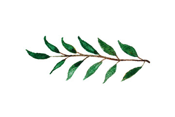 Watercolor eucalyptus sprig. Isolated botanical element. Drawn green leaves on textured watercolor paper.