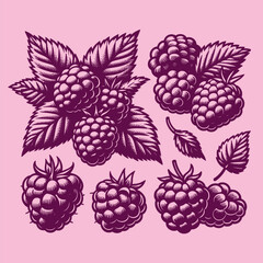 Raspberries. Berry set. Hand drawn engraving vector illustration sketch. Icon, print, emblem. Isolated objects, cut out