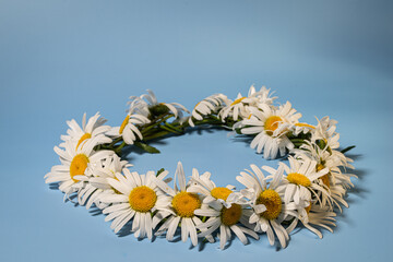Daisy wreath on blue background