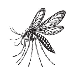Mosquito Silhouette Vector Art Illustration