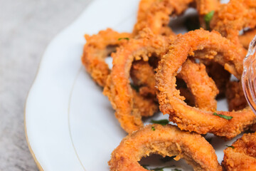 close up of a plate of calamari rings
