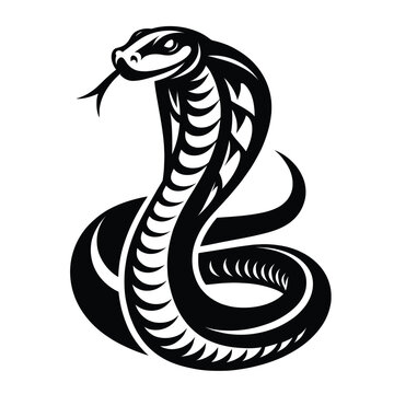 Illustration of a fierce cobra snake in black and white