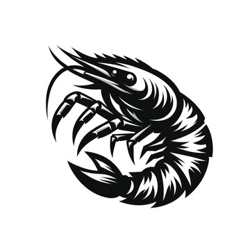 recommend clip art: Illustration of a fierce shrimp in black and white